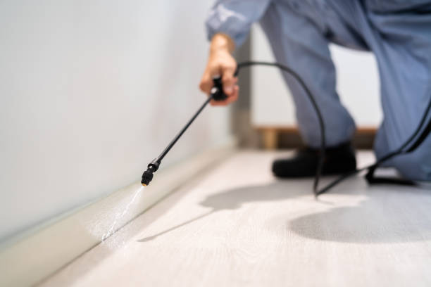 Licensed Termite Control service in Newton, NJ - Show Me Pest Control